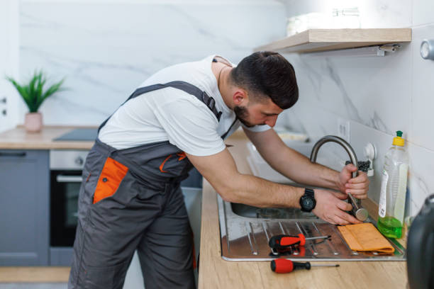 Best Plumbing Inspection Services  in Johnston City, IL