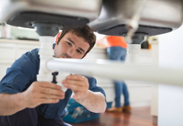 Best Sewer Line Repair  in Johnston City, IL