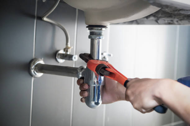 Best Clogged Drain Plumber  in Johnston City, IL