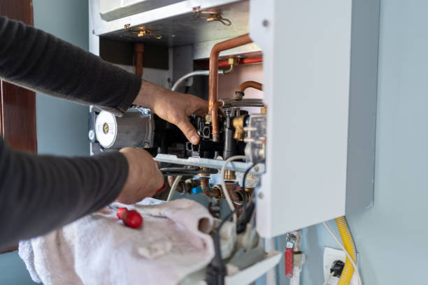 Best Local Plumber Services  in Johnston City, IL