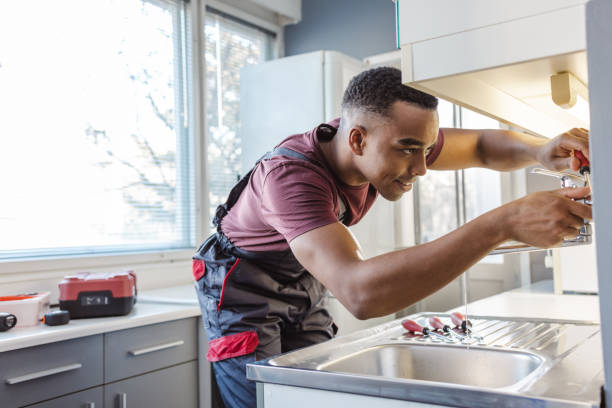 Best Affordable Plumbing Services  in Johnston City, IL